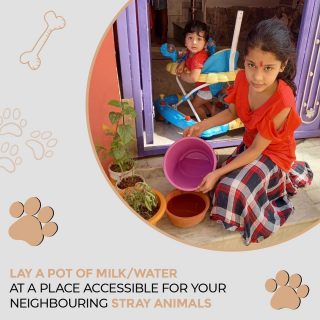Be a catalyst in transforming India!

Be a part of a record building effort!

Place a pot for your fur buddies and share your picture while tagging us. 
For each pot you place, we do the same to reach double impact!

Click on the Link In Bio
.
.
.
.
.
.

#careforstray #doglovers #animallovers #paw #feedanimals #saveanimals #letsunite #waterbowl #caregiving #animals #india #initiative #beapartofit #saveanimalslives