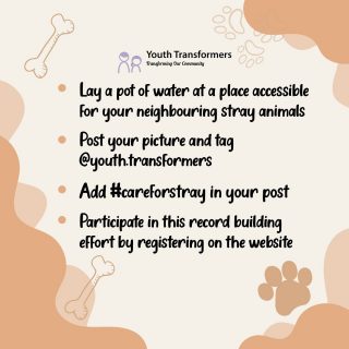 Be a part of a world record building effort! Just for your four-legged neighbours!

Click on the Link in Bio
.
.
.
.
.

#careforstray #doglovers #animallovers #paw #feedanimals #saveanimals #letsunite #waterbowl #caregiving #animals #india #initiative