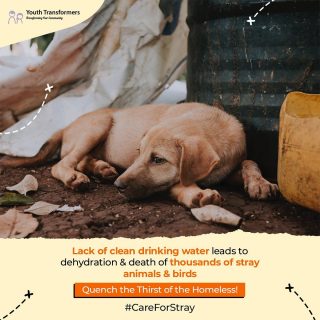 It is heartbreaking to be thirsty & not to be able to speak! 

A little contribution of yours can help fill the furry buddy’s hungry stomach! 

Be a Catalyst in transforming India with #CareForStray & set a world record by creating history!
.
.
.
.
.
#Careforstray #waterforanimals #thirstaid #initiative #savestrayanimals #communityfirst #waterfordogs #helpstrayanimals